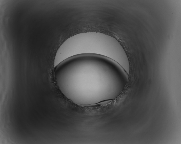 X0000099570192200805160733