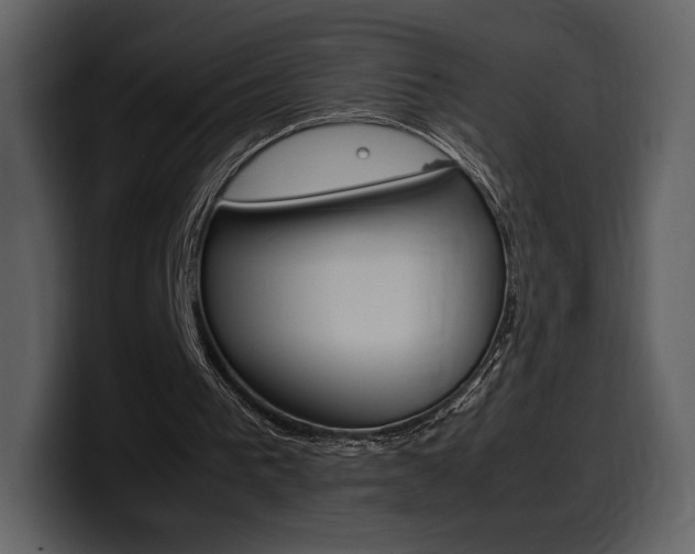 X0000099570193200805160733