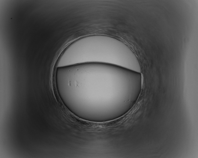 X0000099570195200805160733