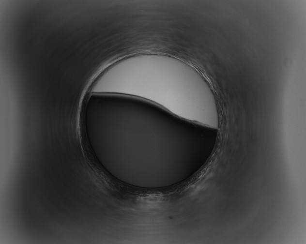 X0000099570196200805160733