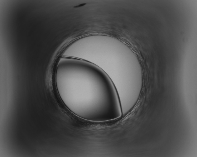 X0000099570197200805160733