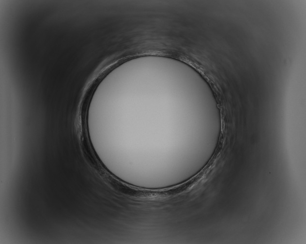 X0000099570198200805160732