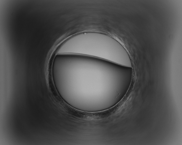 X0000099570199200805160732