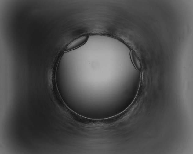 X0000099570201200805160732
