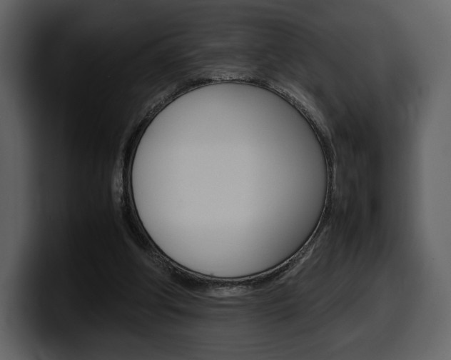 X0000099570202200805160732