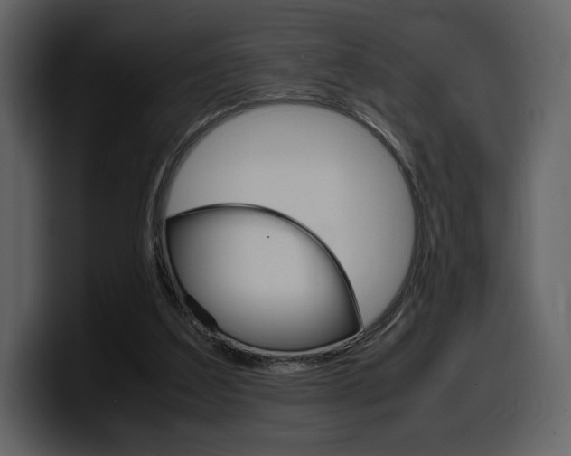 X0000099570203200805160732