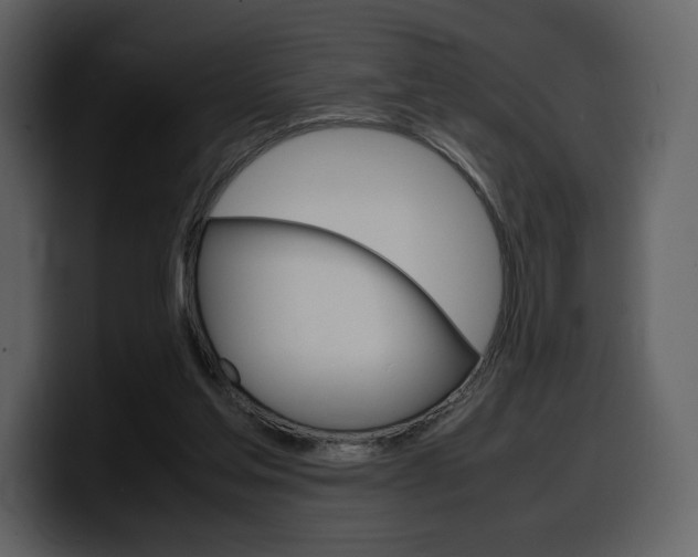 X0000099570205200805160732