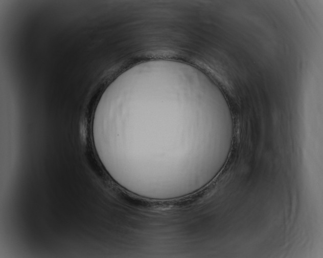 X0000099570206200805160732