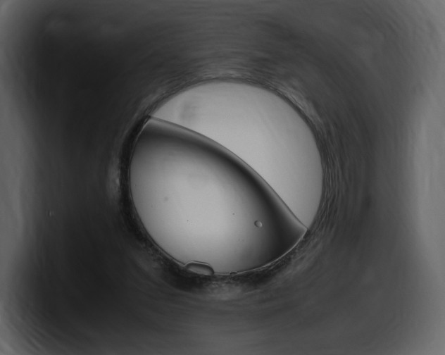 X0000099570207200805160732