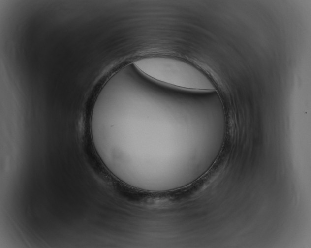 X0000099570208200805160732