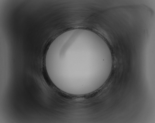 X0000099570210200805160732