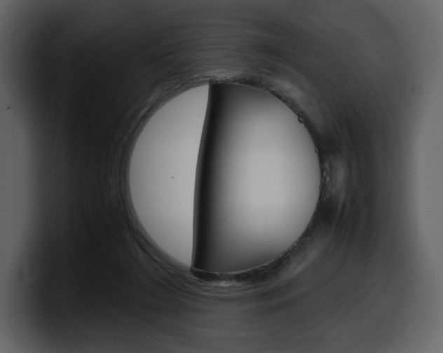 X0000099570212200805160732