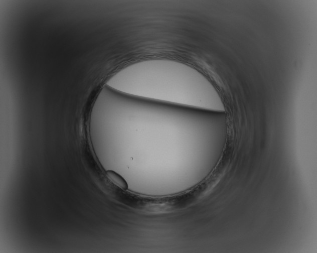 X0000099570213200805160732