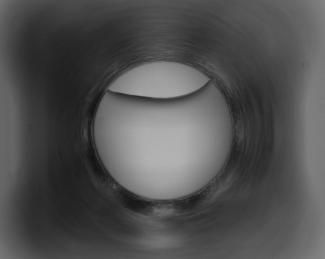 X0000099570214200805160732