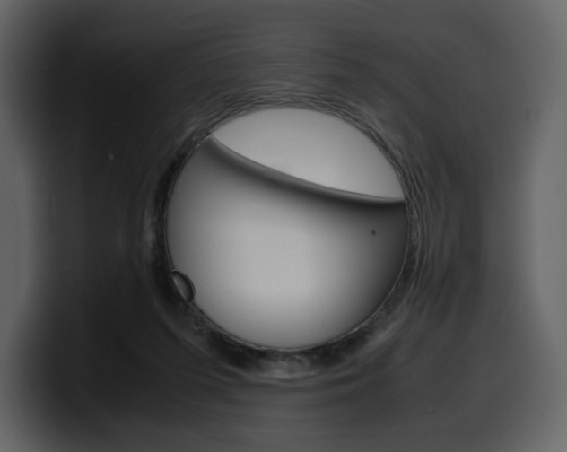 X0000099570215200805160732