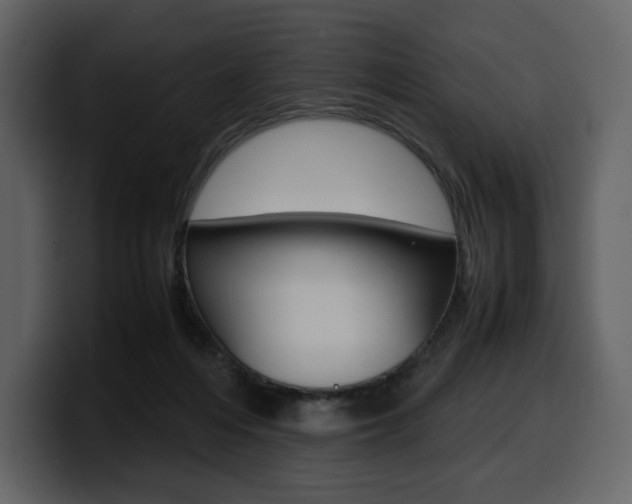X0000099570216200805160732