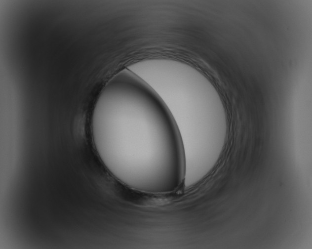 X0000099570217200805160732