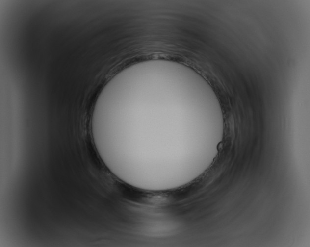 X0000099570218200805160732
