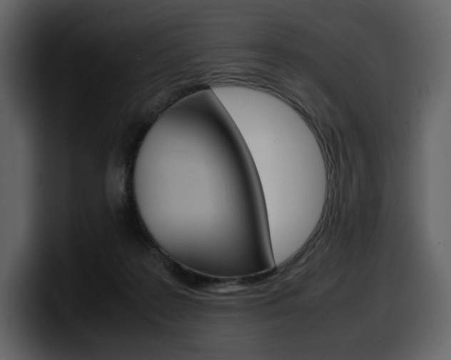 X0000099570219200805160732