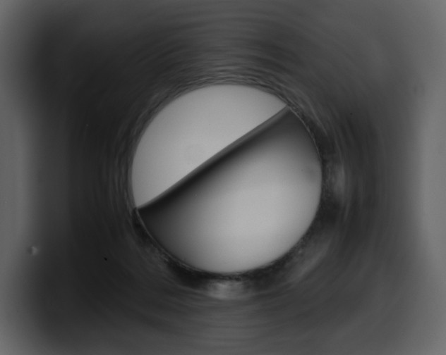 X0000099570220200805160732