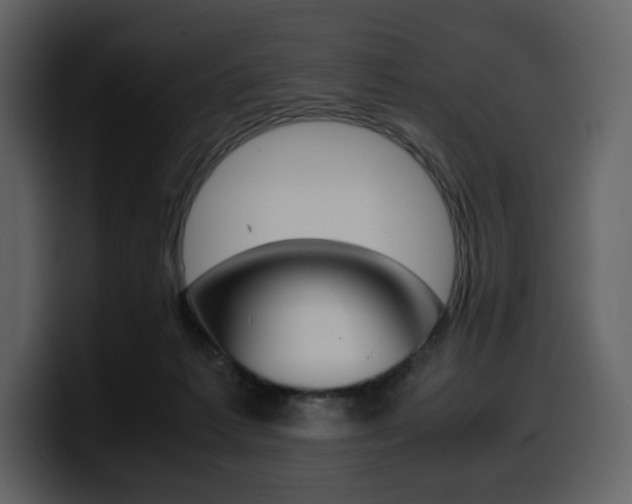 X0000099570221200805160732
