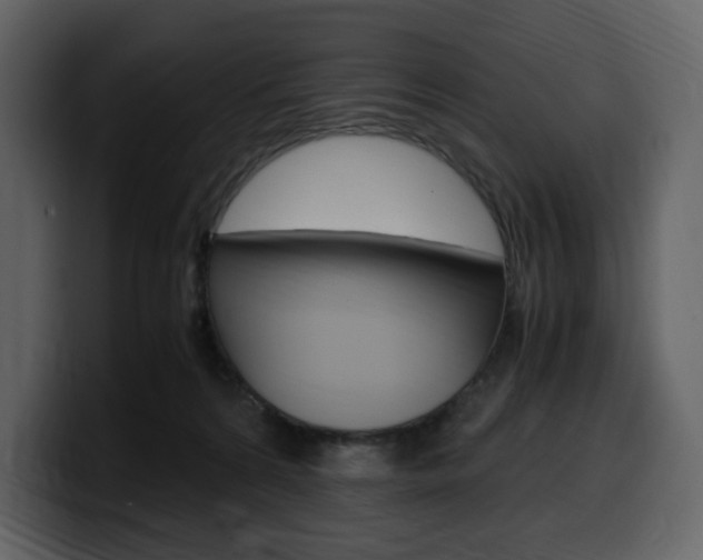X0000099570224200805160732