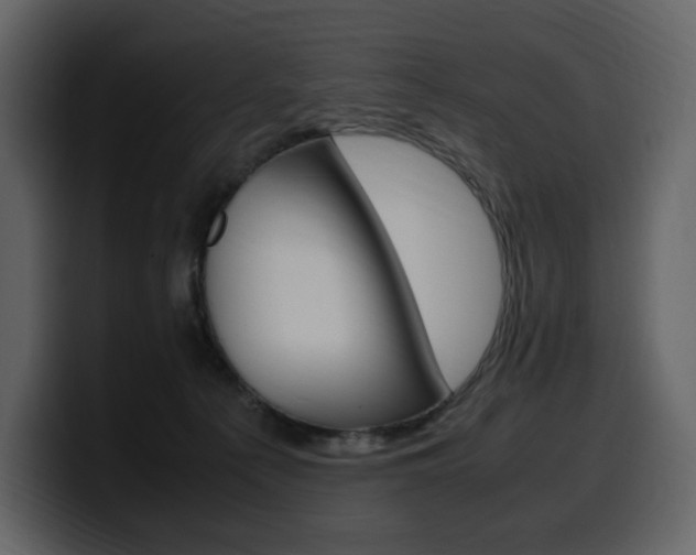 X0000099570225200805160732