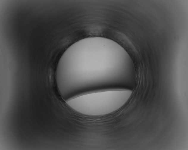 X0000099570228200805160732