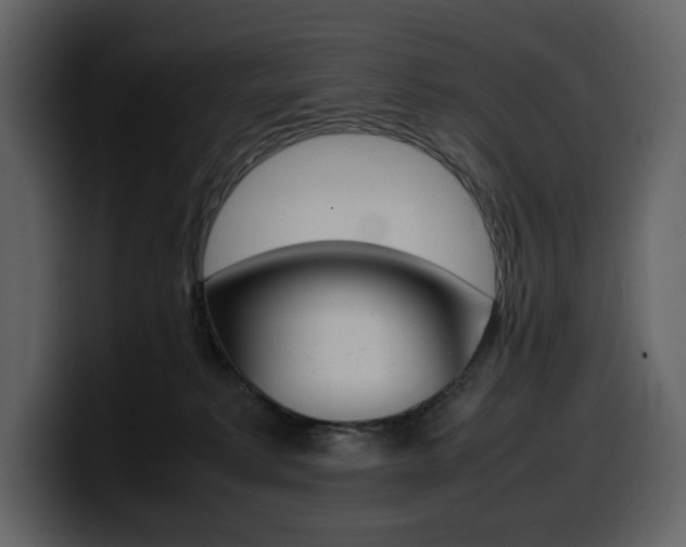 X0000099570229200805160732