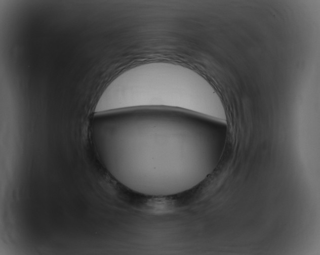X0000099570231200805160732