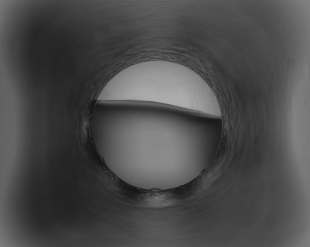X0000099570235200805160732