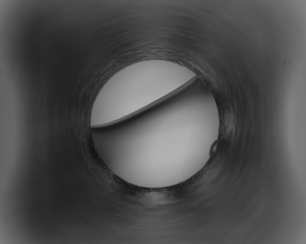 X0000099570236200805160732
