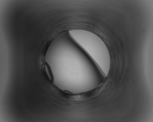 X0000099570237200805160732