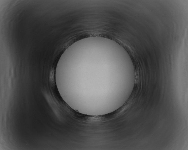 X0000099570238200805160732