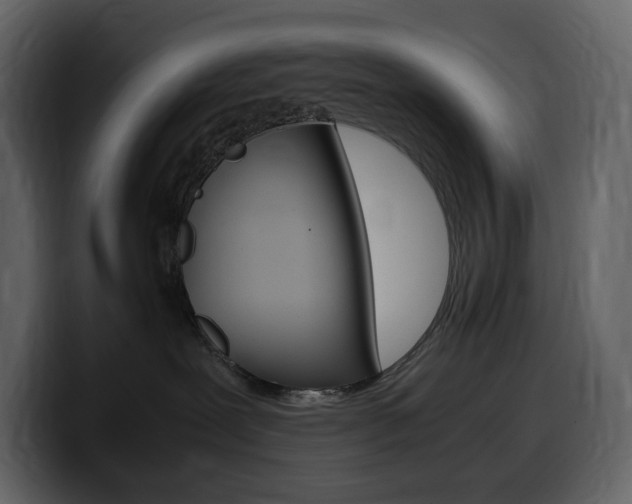 X0000099570239200805160732