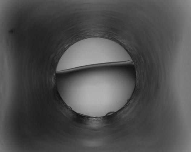 X0000099570240200805160732