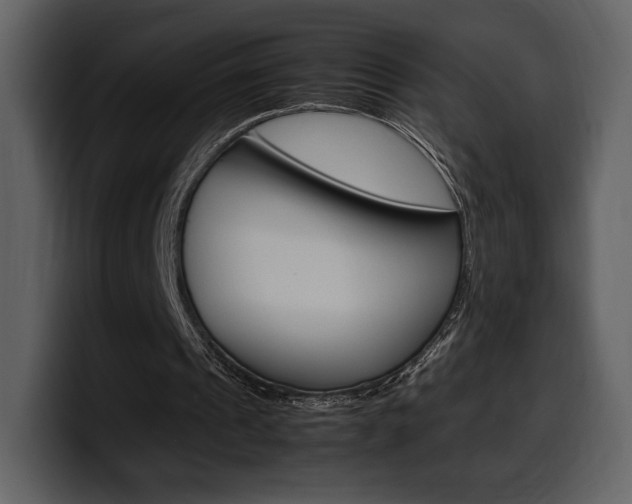 X0000099570241200805160731