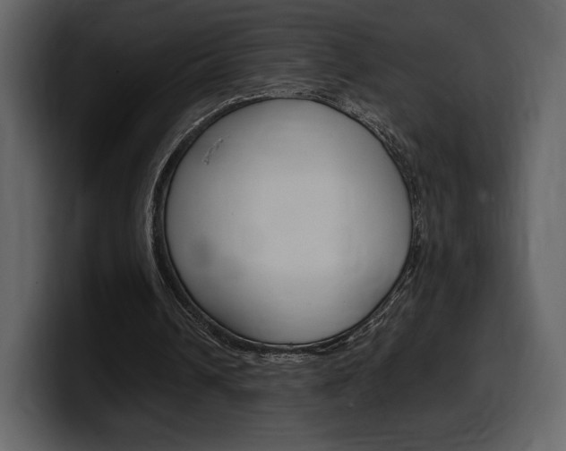 X0000099570242200805160731