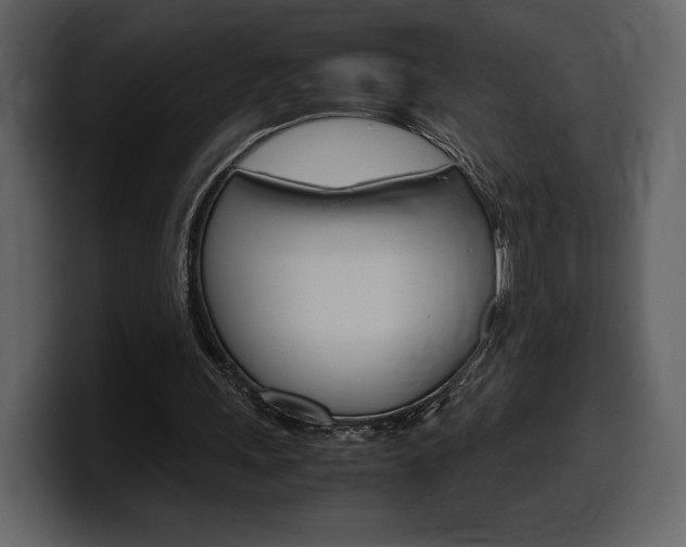 X0000099570243200805160731