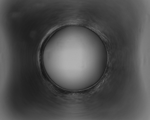 X0000099570244200805160731