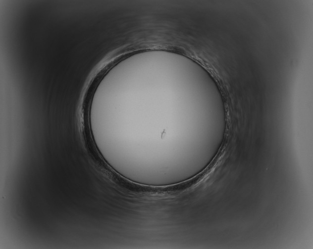 X0000099570246200805160731