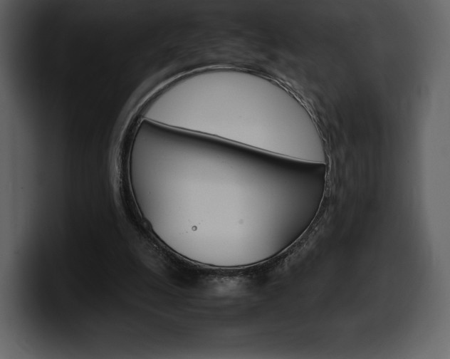 X0000099570247200805160731