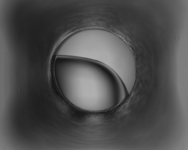 X0000099570248200805160731