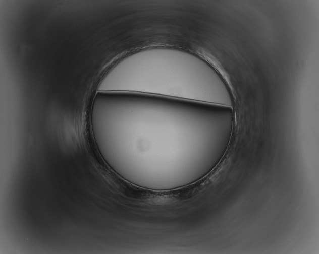 X0000099570249200805160731