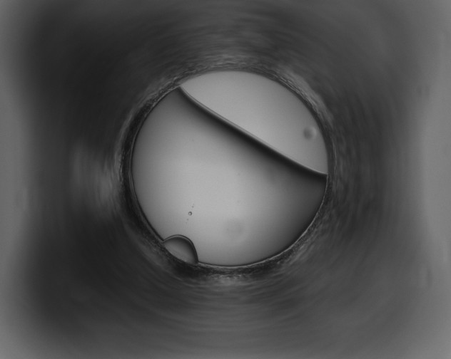 X0000099570250200805160731