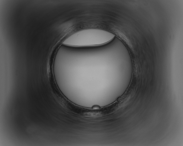 X0000099570251200805160731