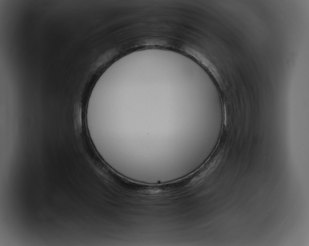 X0000099570253200805160731
