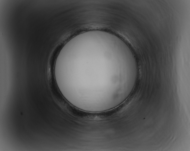 X0000099570254200805160731