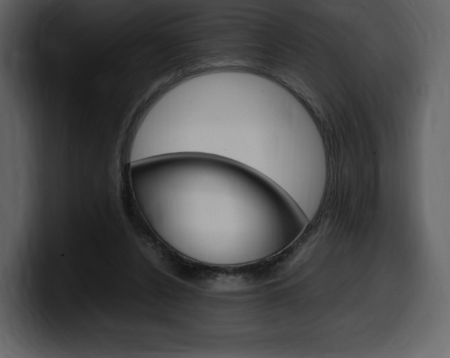 X0000099570256200805160731