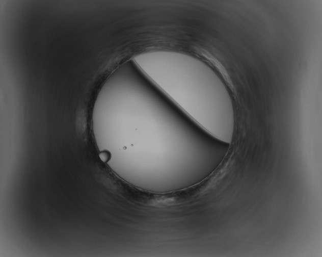 X0000099570257200805160731